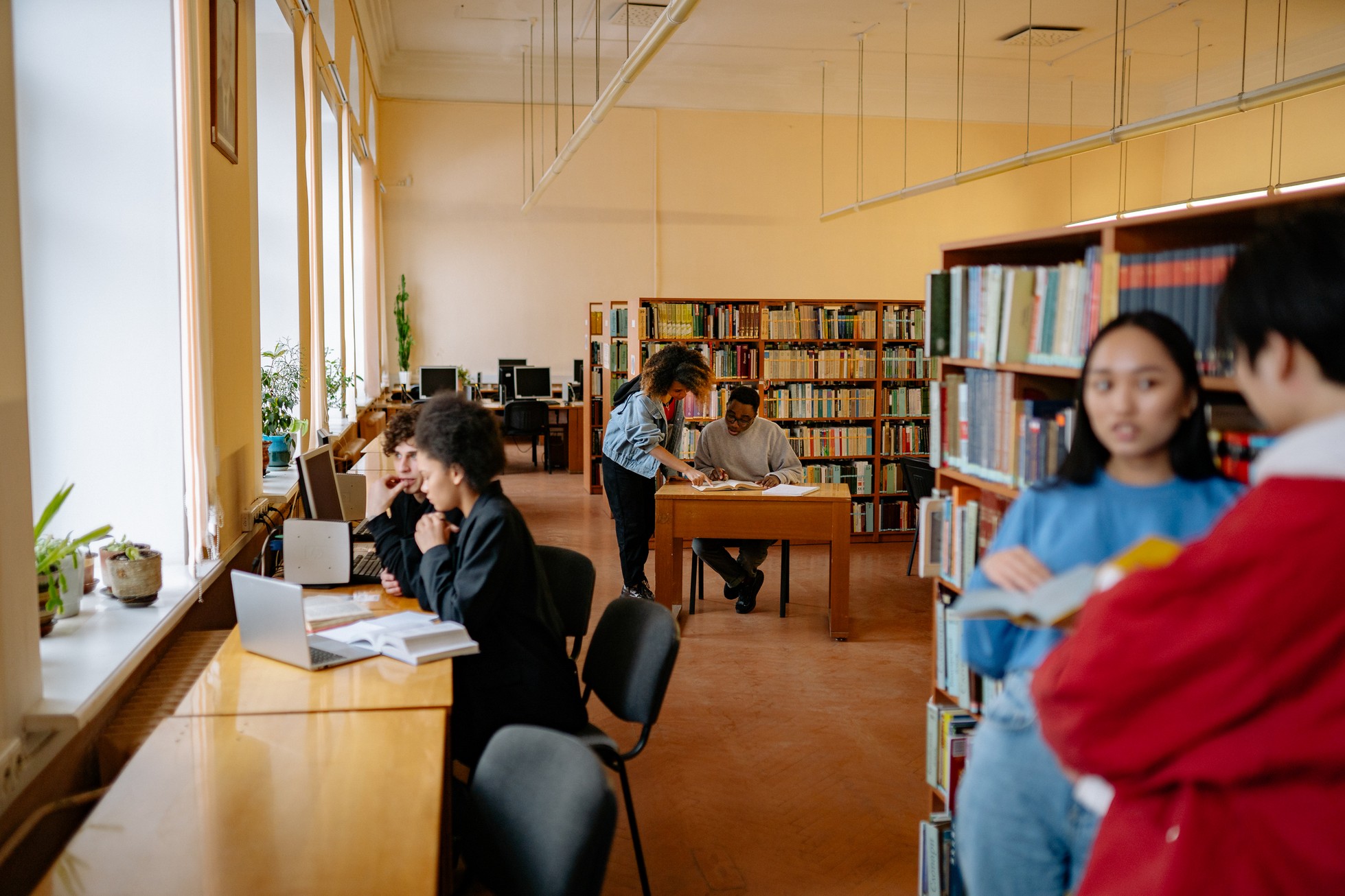 Students in university library